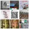 專業(yè)生產(chǎn)控制器